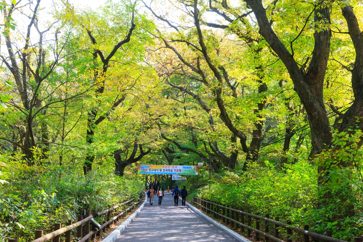 고락산 - 여수밤바다 여행