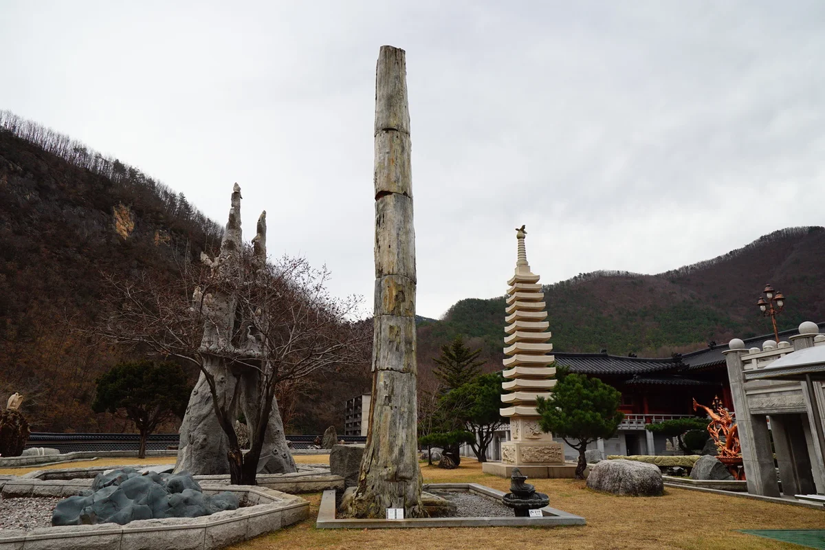 삼척해양레일바이크 궁촌정거장 - 삼척 여행
