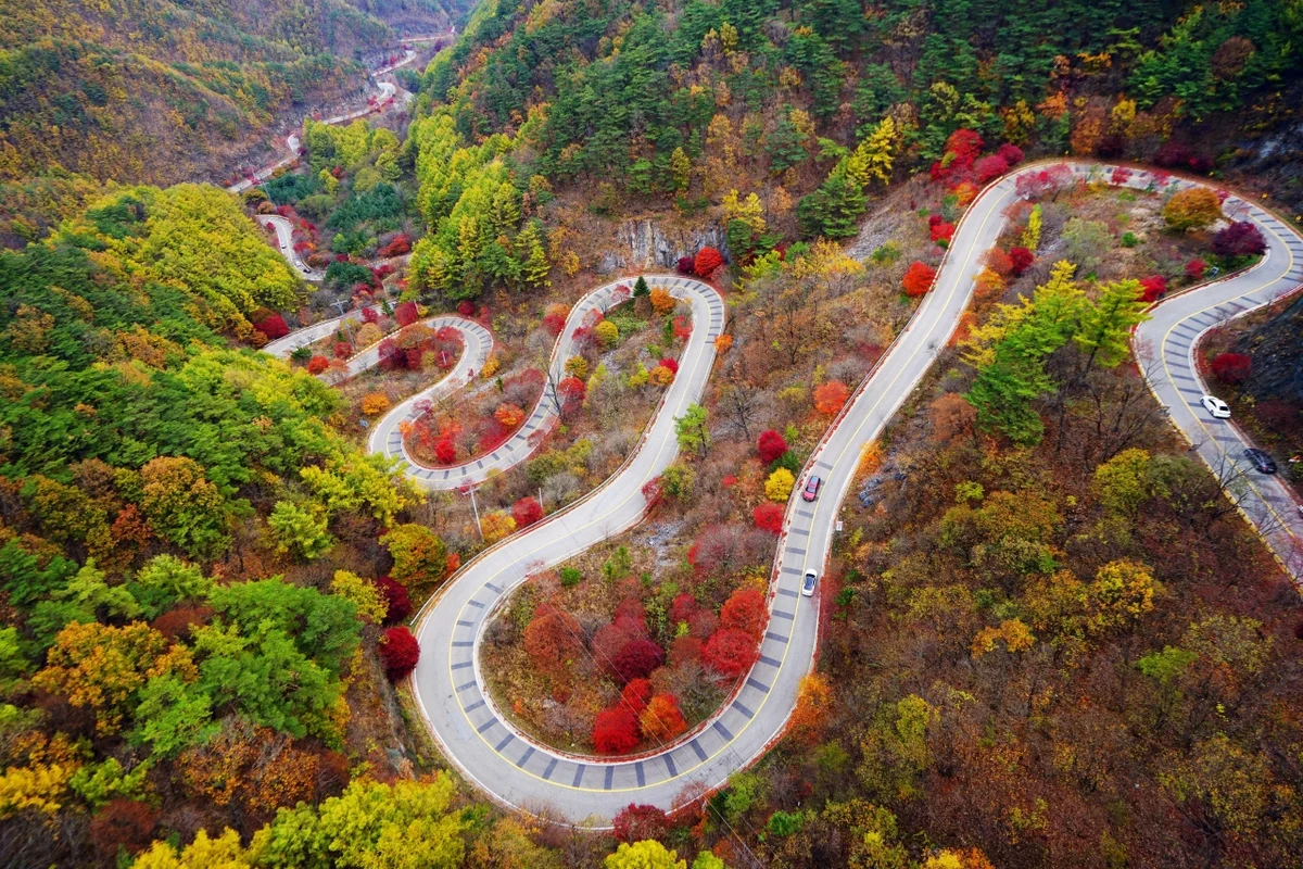 드라이브코스 - 한라산 여행