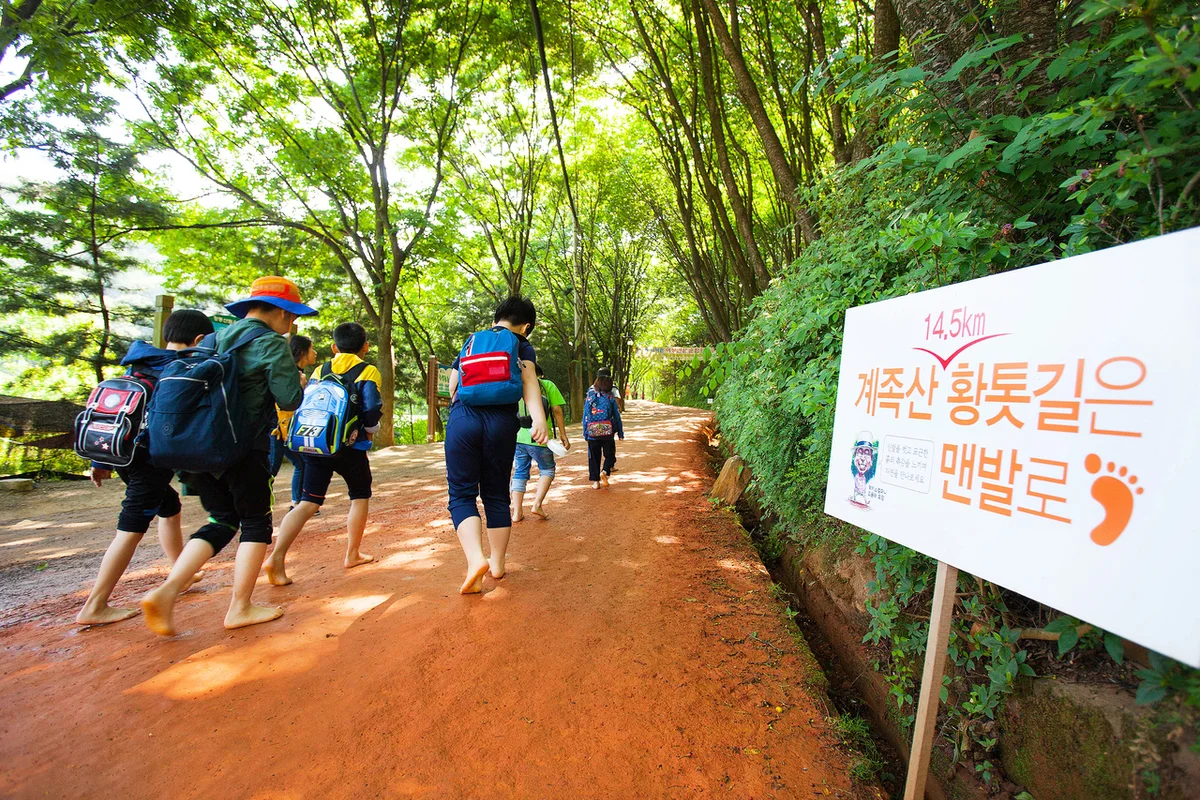 국립중앙과학관 - 계족산 여행