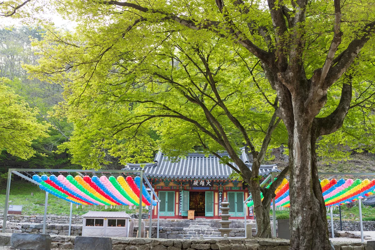 순창발효테마파크 - 순창군 펜션 추천 여행