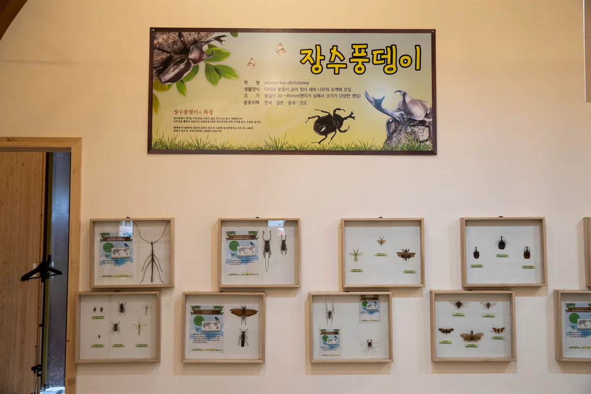 장안산 - 장수여행 여행