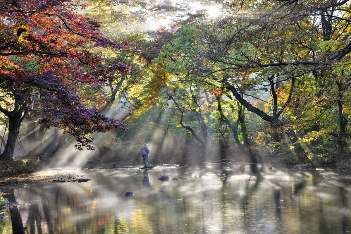 선운사 - 선운사 여행