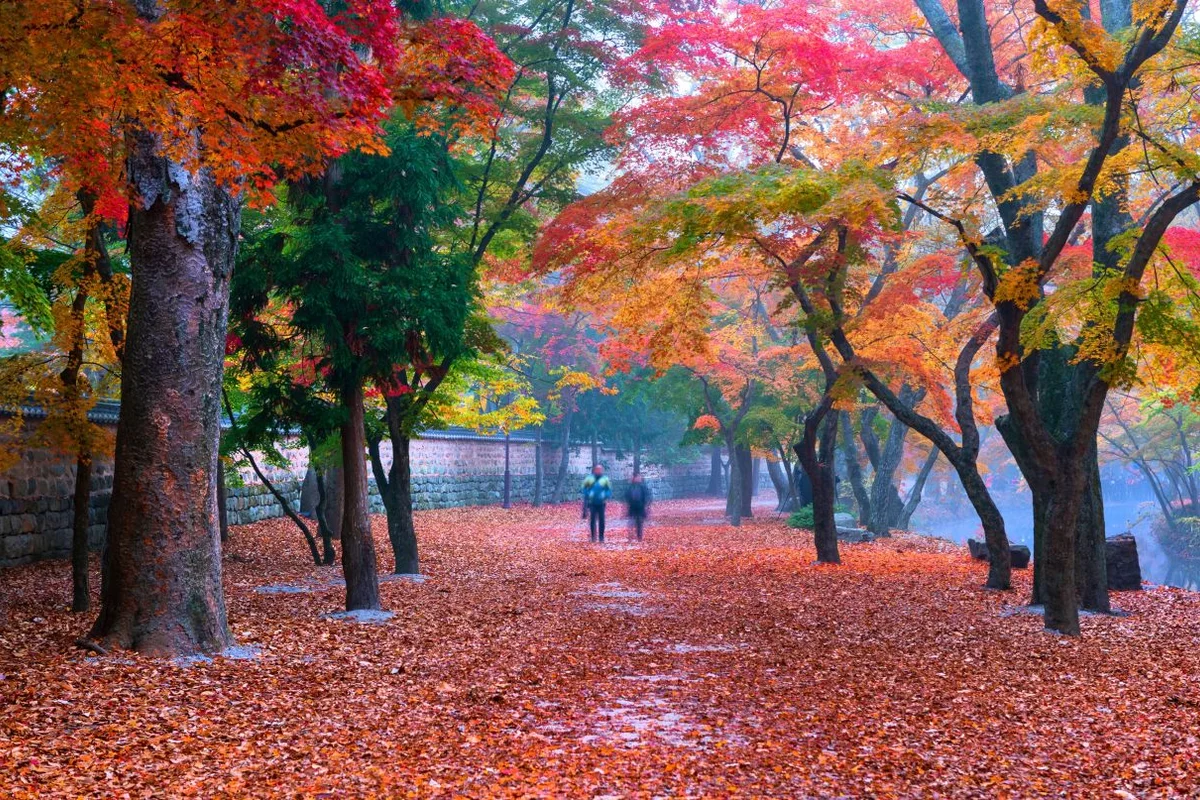 선운사 - 고창군 여행