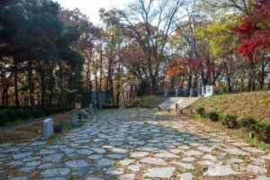 양림동 원데이클래스 (출처 : 한국관광공사)