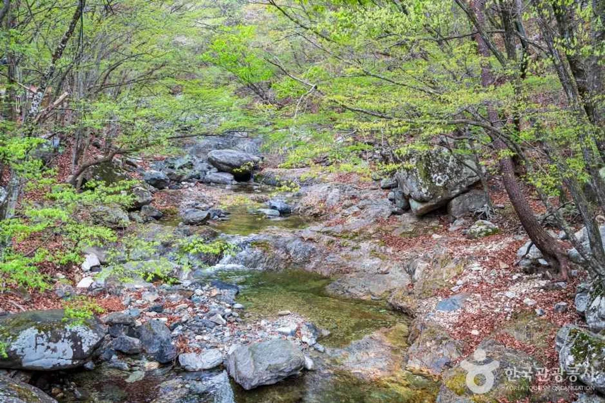 우도 잠수함 - 성산 여행