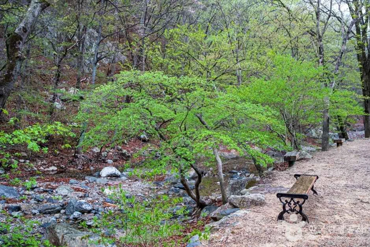 와우쥬 양산점 - 양산여행 여행