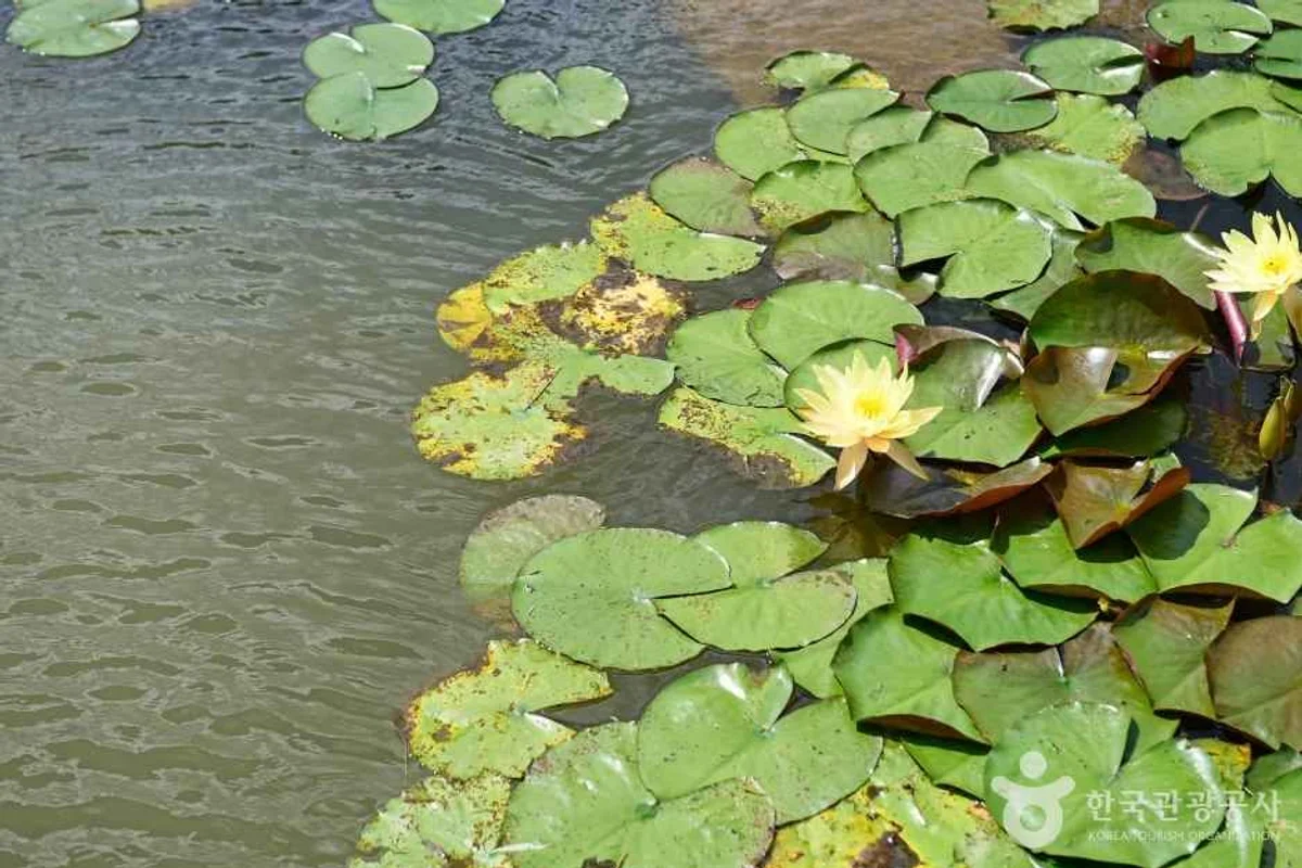 해운대 수목원 - 부산여행 여행