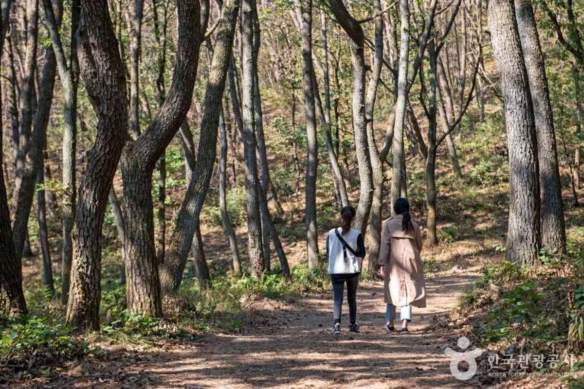 금정산성축제 (여름 시즌 연계 행사 시) - 금정구 여행