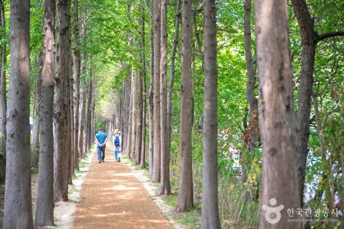 해운대 - 해운대 여행