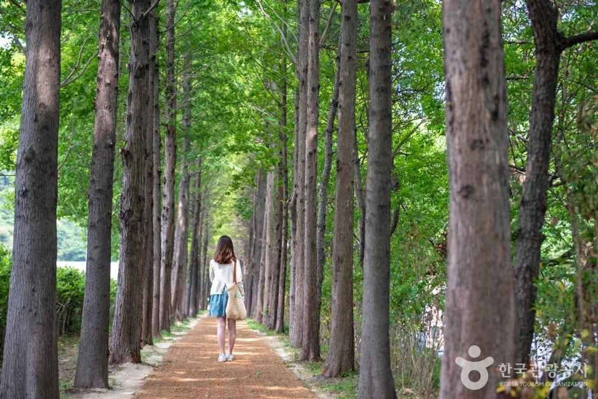 키자니아 부산 - 해운대구 여행