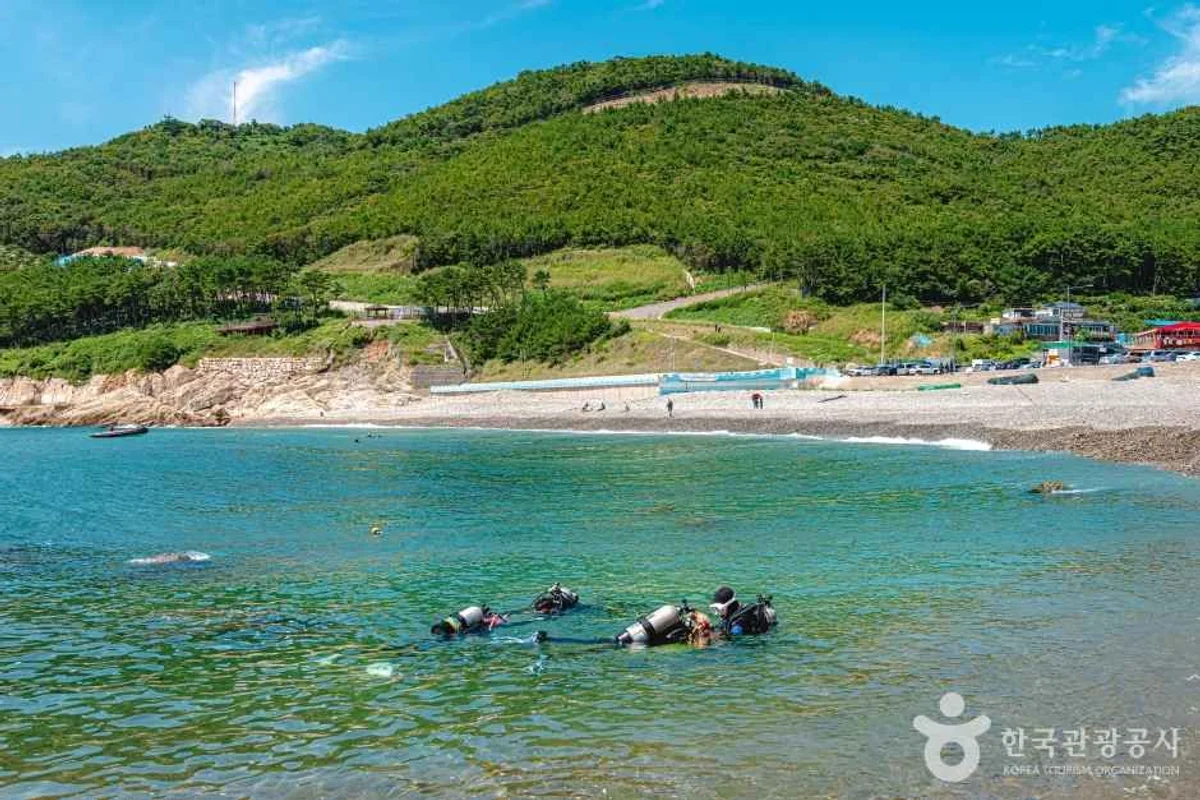 태종대 은하수유람선 - 태종대 여행