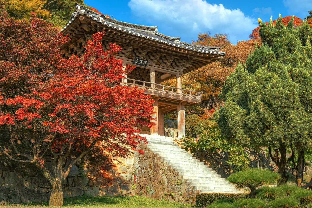 평촌중앙공원 - 안양여행 여행