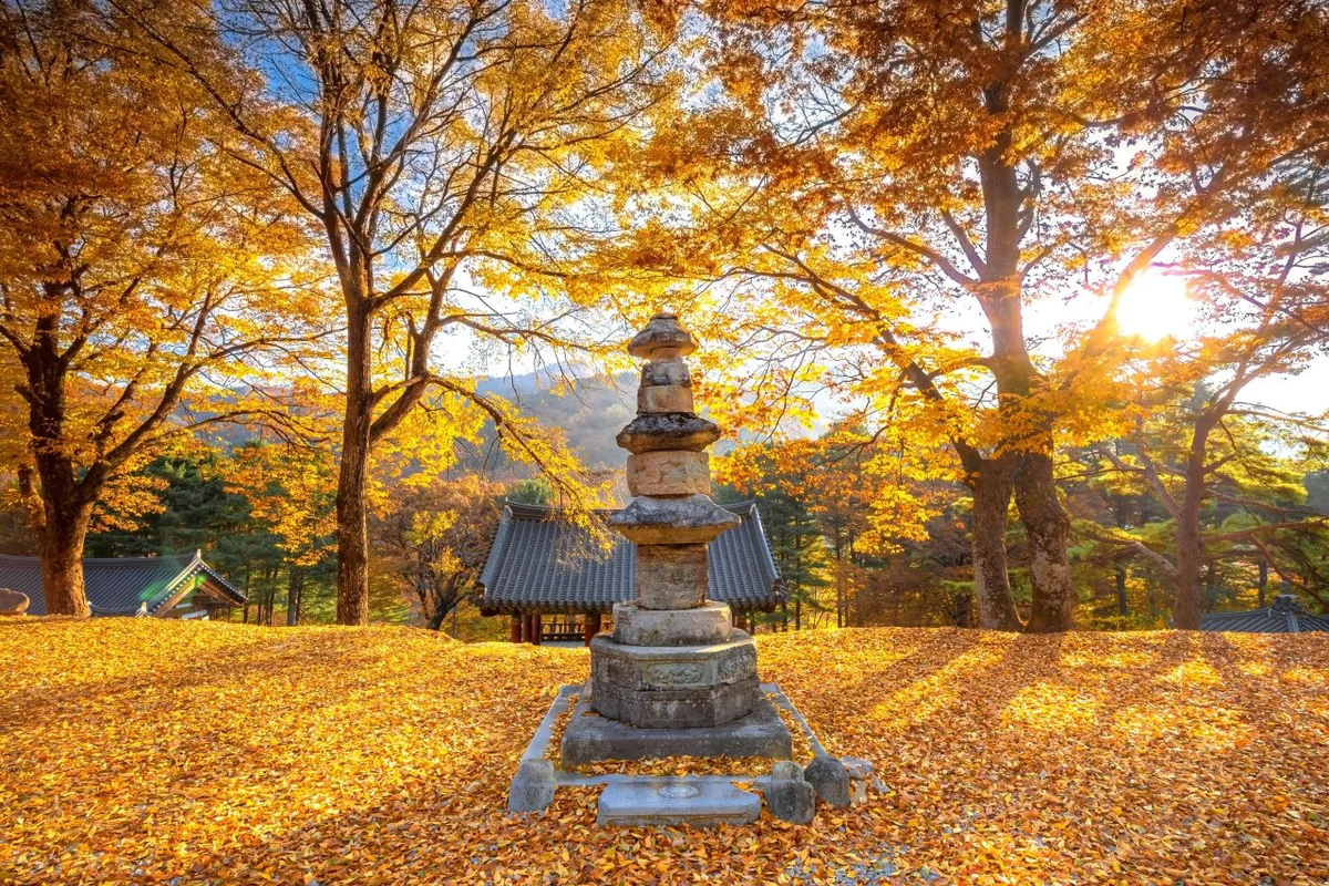 소백산자락길 - 단양여행 여행