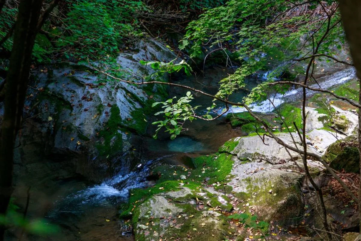 365세이프타운 - 태백 여행