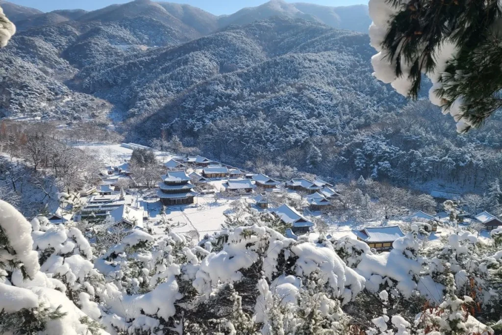 김제시 한옥마을 (출처 : 한국관광공사)