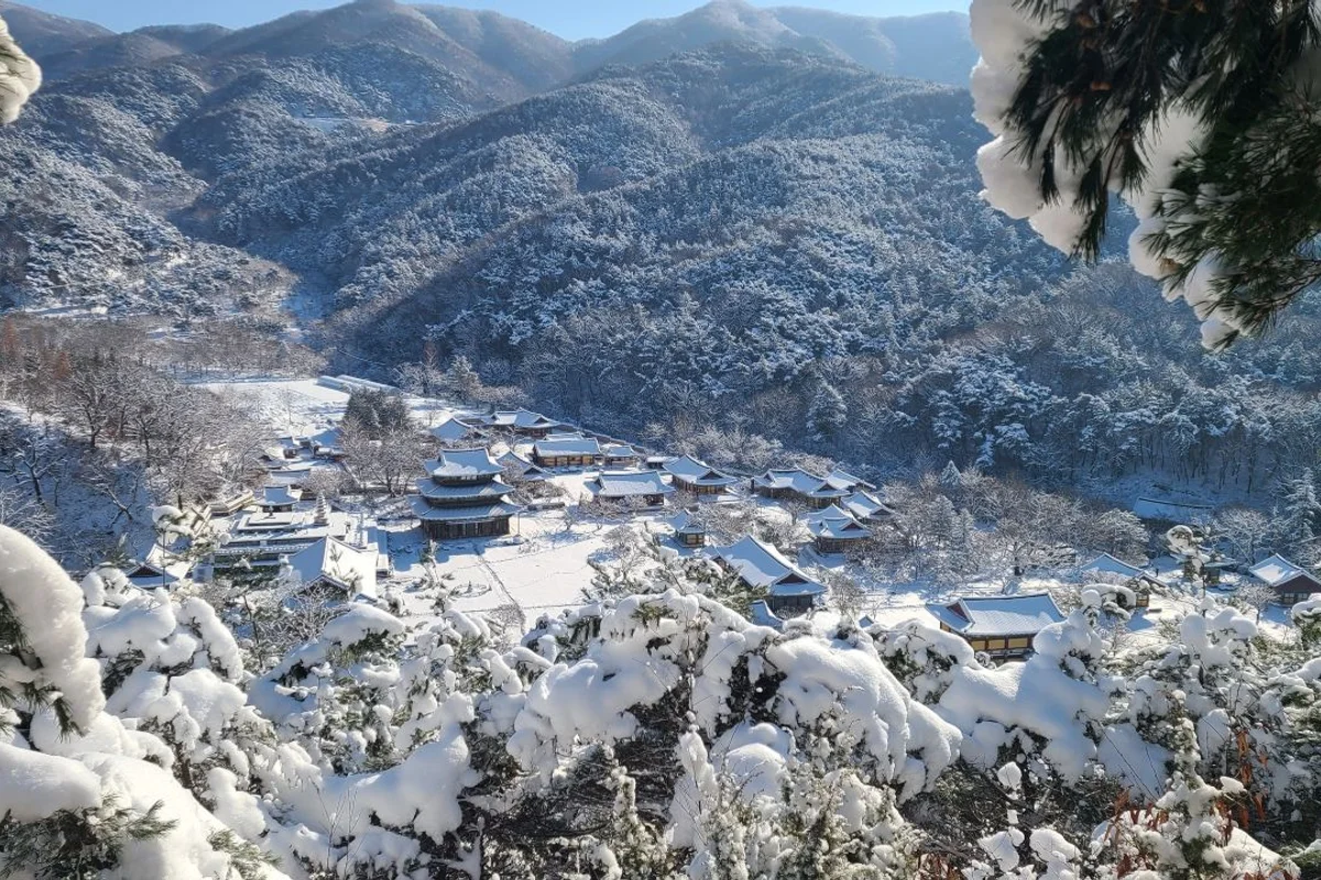 김제시 한옥마을 (출처 : 한국관광공사)