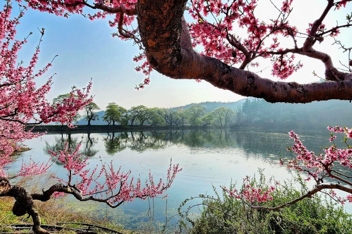 반곡지 - 경산 글램핑 여행