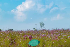 계양구 갈만한곳 (출처 : 한국관광공사)