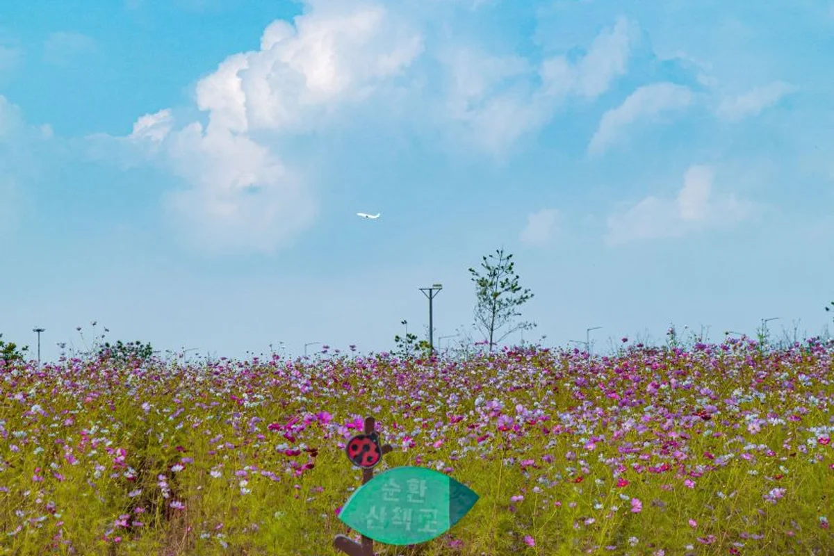 계양구 갈만한곳 (출처 : 한국관광공사)