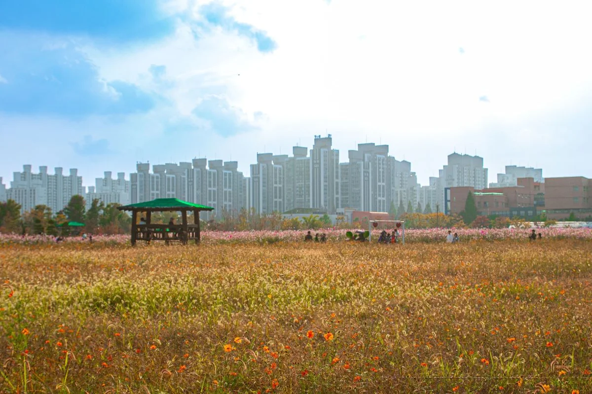 계양꽃마루 - 계양구여행 여행