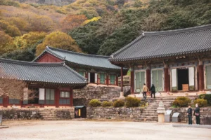 선운사 여행지 (출처 : 한국관광공사)