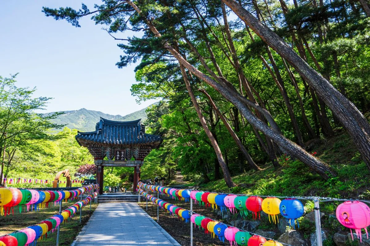 구례자연드림파크 - 구례여행 여행