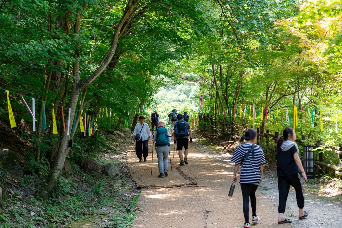 전천 수변 산책길 - 동해시여행 여행