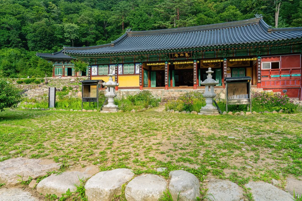 속삭이는자작나무숲 - 인제 여행