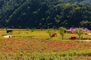 청송군 산책로 (출처 : 한국관광공사)
