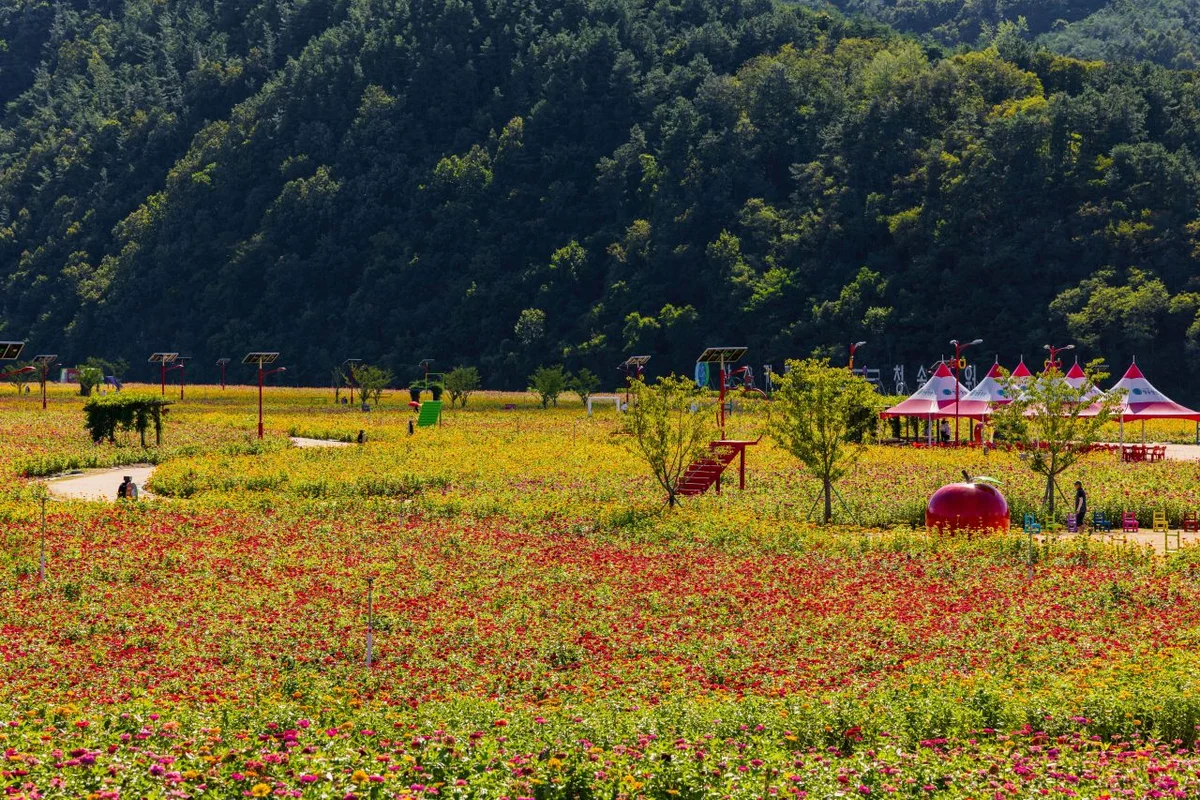 청송군 산책로 (출처 : 한국관광공사)