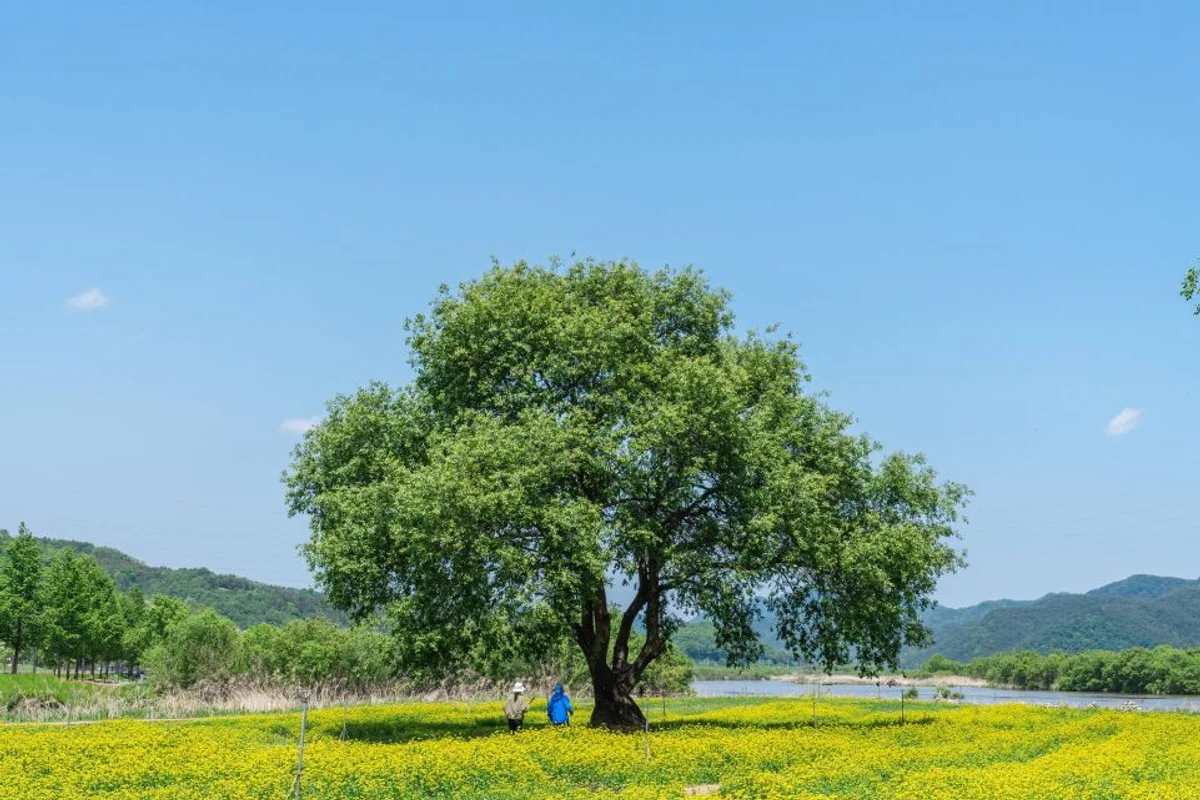 핫들생태공원 - 합천 여행