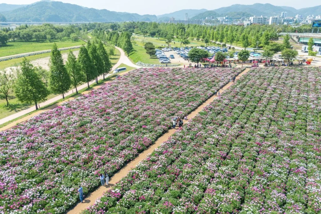 합천 산책로 (출처 : 한국관광공사)