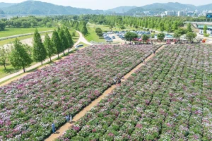 합천 산책로 (출처 : 한국관광공사)