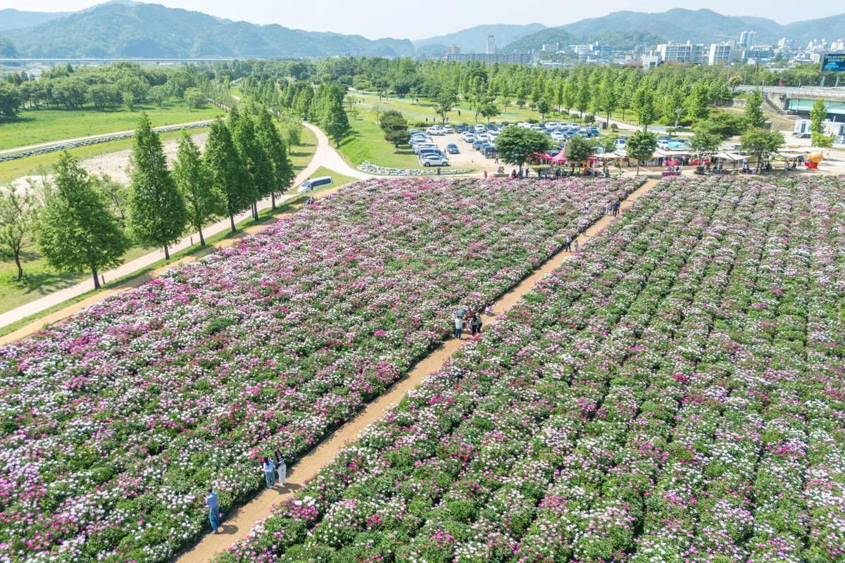 합천 산책로 (출처 : 한국관광공사)