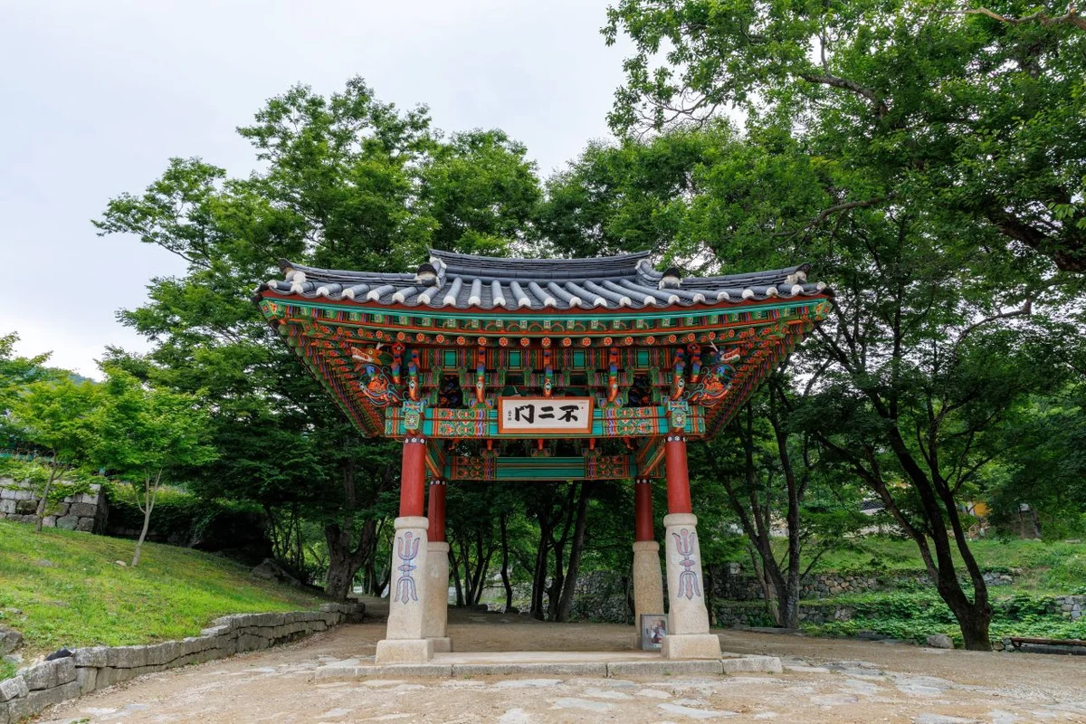 하늬라벤더팜 - 강원도 고성 여행 여행