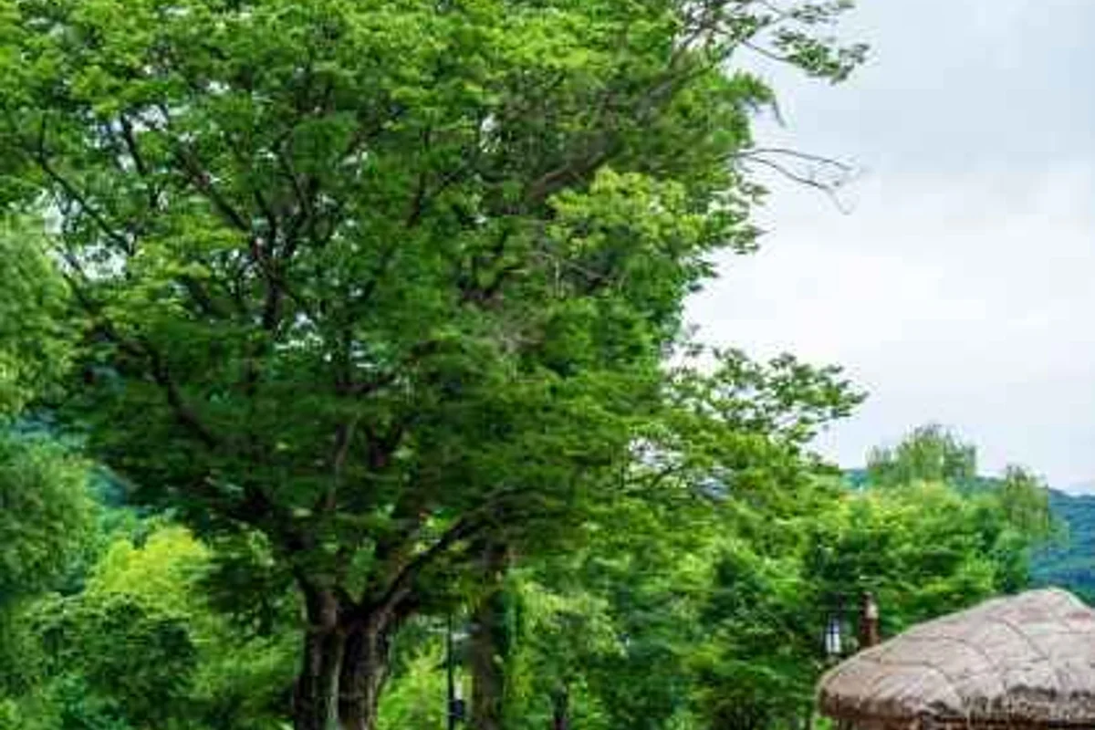 외암민속마을 - 아산여행 여행