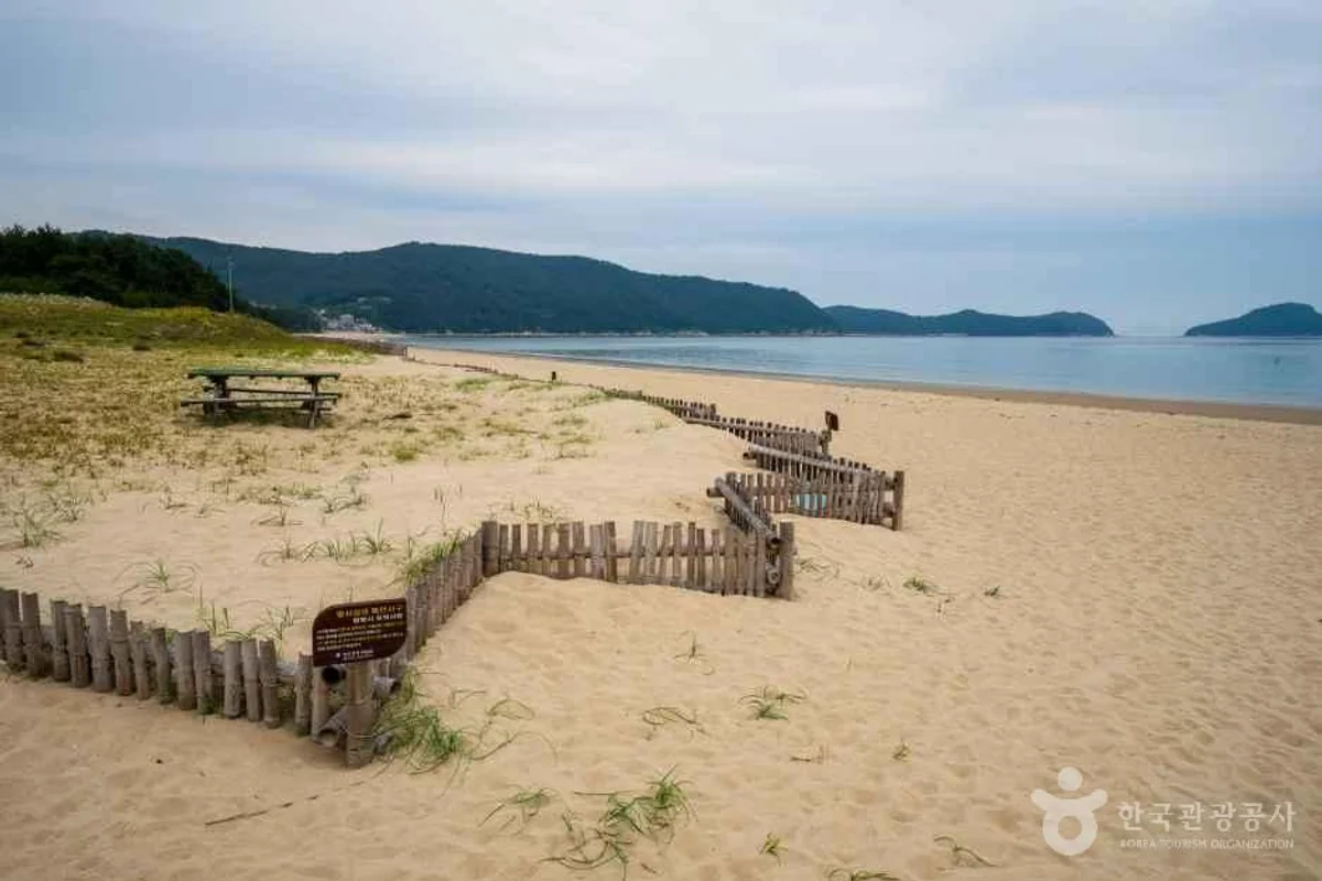 완도 실내 가볼만한곳 (출처 : 한국관광공사)