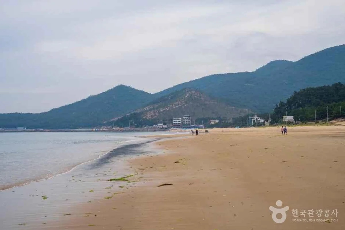 청산도 2코스 - 완도등산 여행