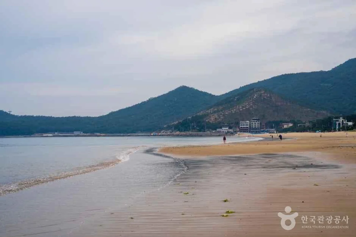 설리스카이워크 - 남해여행 여행