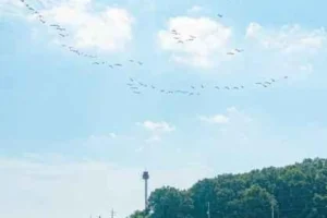 강화 여행코스 (출처 : 한국관광공사)