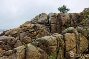 고성 뷰 좋은 곳 (출처 : 한국관광공사)