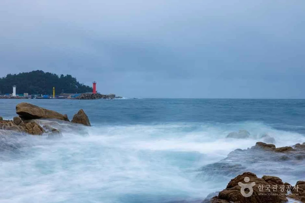 동해 단체 여행 (출처 : 한국관광공사)