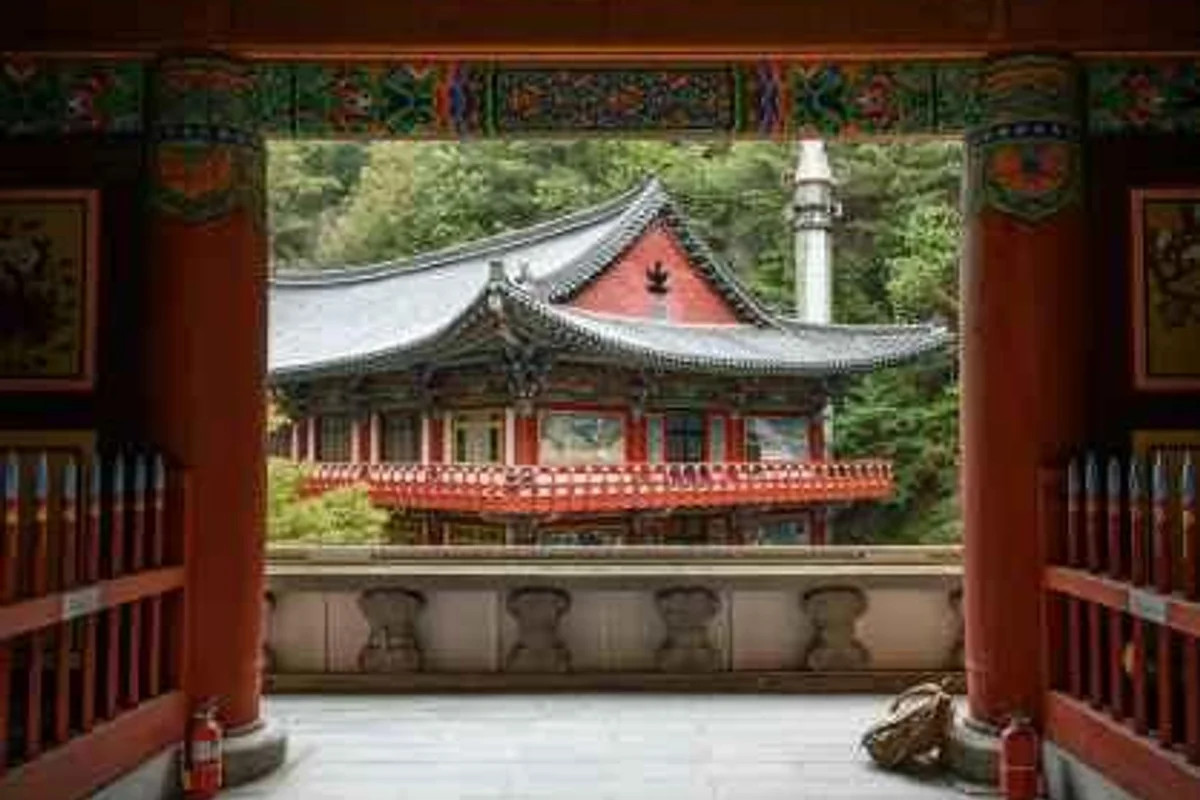 솔솔솔 부엉이숲 - 단양여행 여행