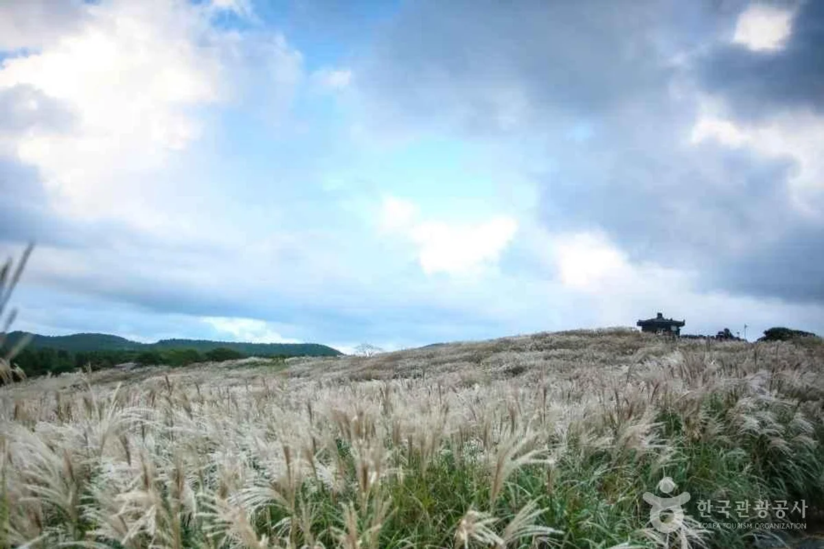 제주 애월 1인 끌림365 게하 - 제주도 게하 여행