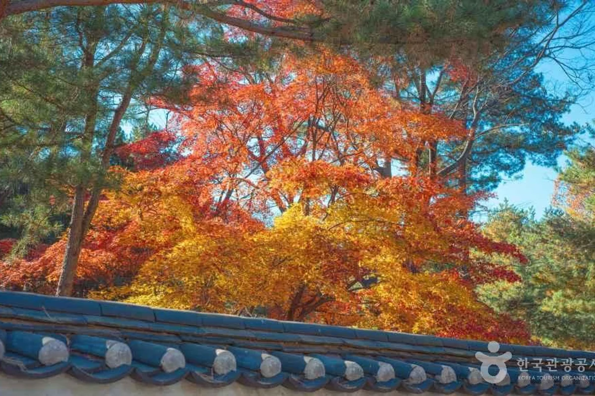 종묘 시민광장 - 종묘 여행