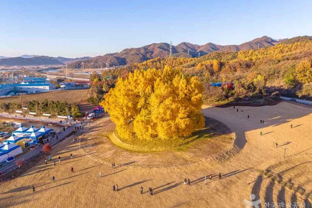 원주 제주 항공권, 소금산그랜드밸리에서 시작하는 모험 - 원주여행 여행