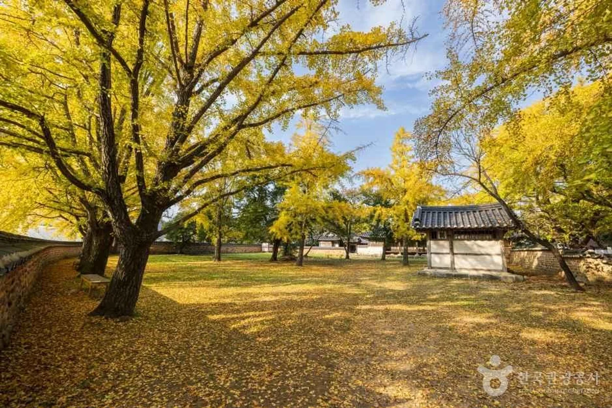 경인아라뱃길여객터미널아라타워 - 청라 여행