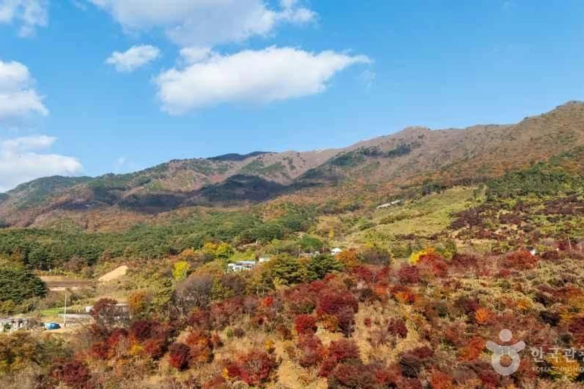 오서산 - 홍성 여행