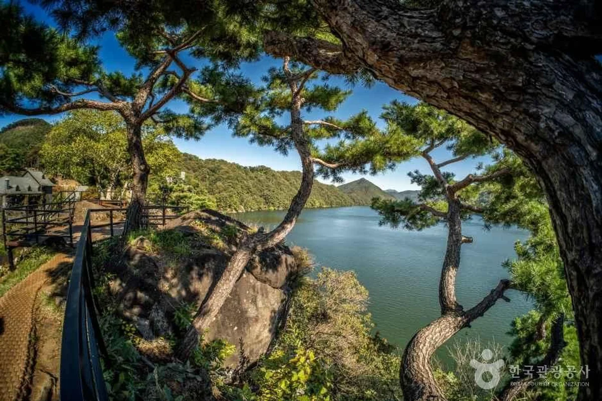 천상의정원 수생식물학습원 - 대청호 여행